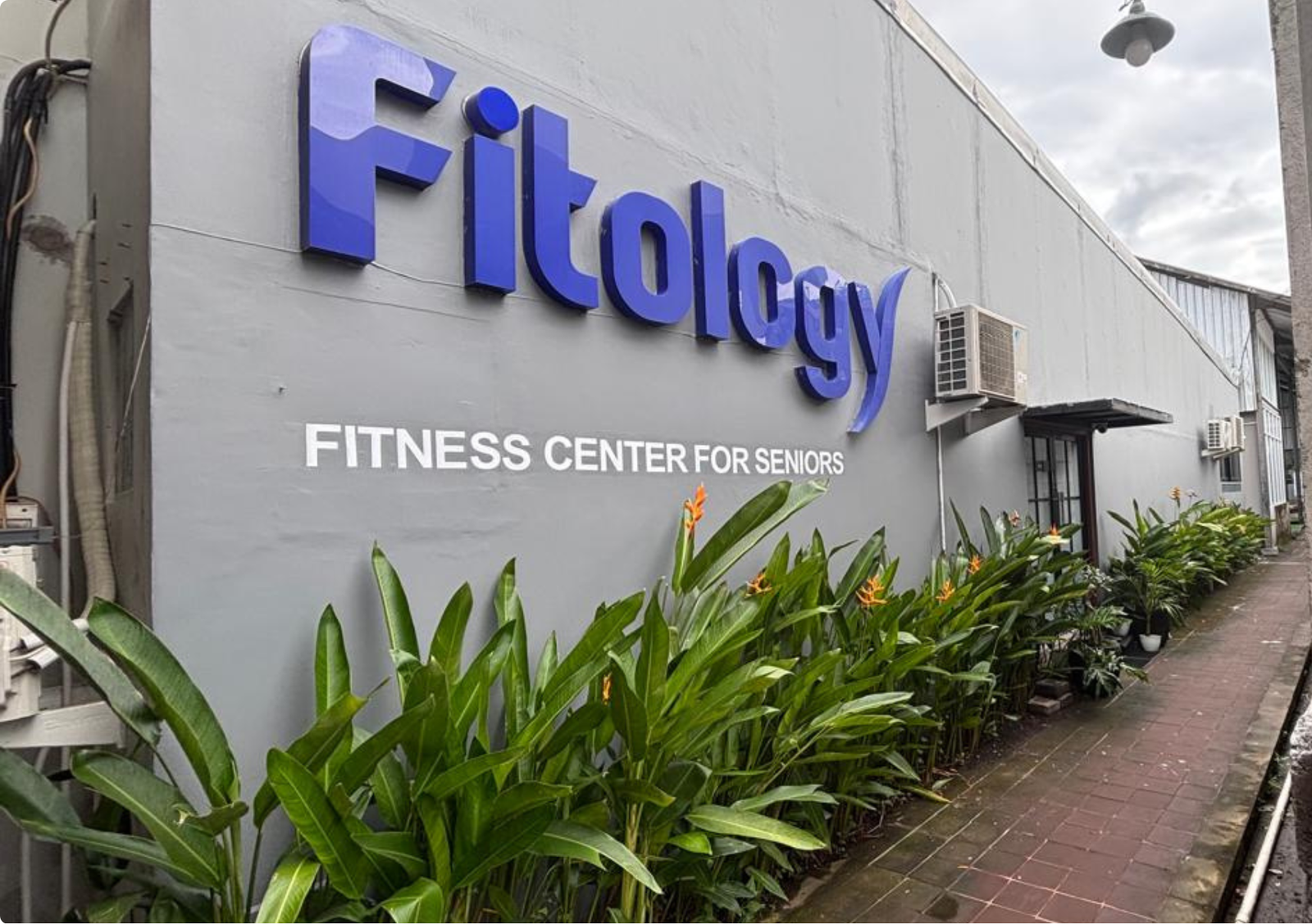Fitology